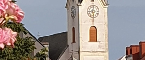 ybbs-pfarrkirche-ausschnitt-600x250-crop-54-69.webp