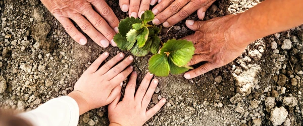 foto-folder-600x250-crop-58-96.webp