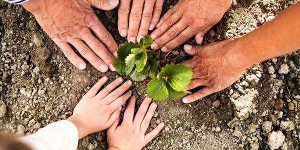 foto-folder-600x300-crop-58-96.webp